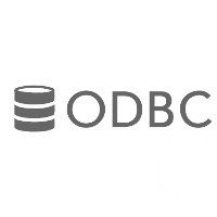 odbc logo